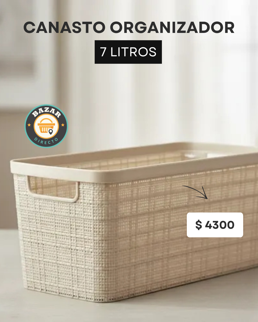 CANASTOS ORGANIZADORES (1)