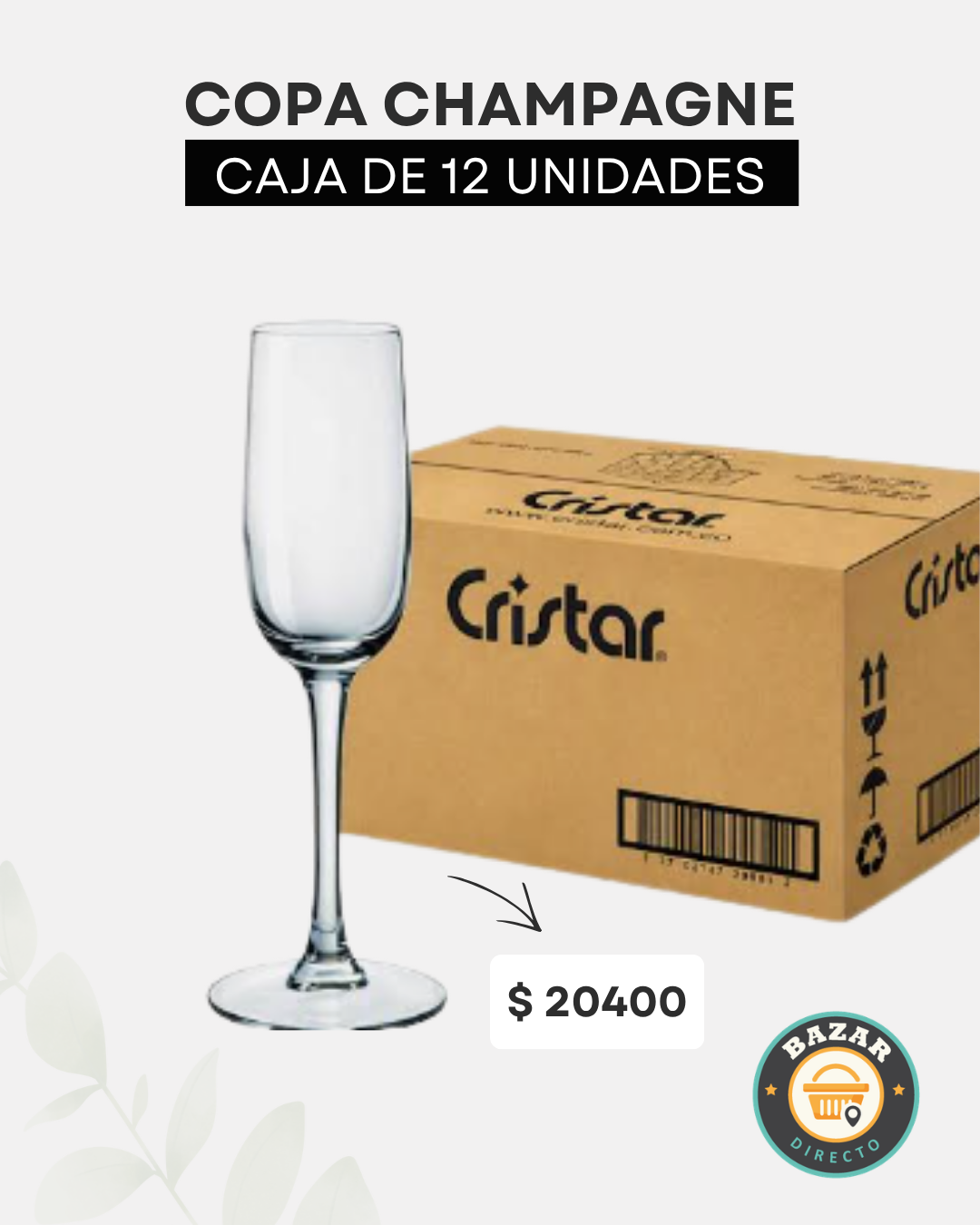 VIDRIOS (8)